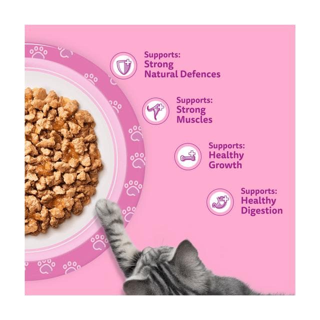 Whiskas Fish Favourites in Jelly Kitten Wet Cat Food Pouches 12 x 85g - gallery image 3