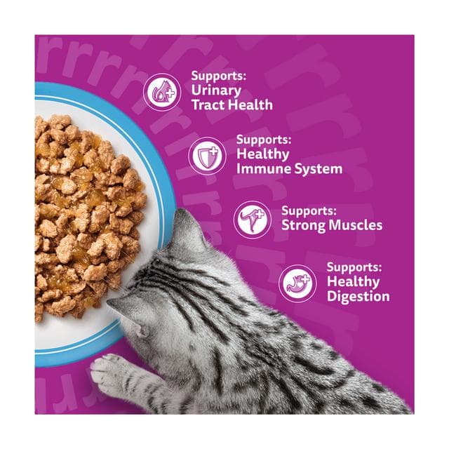 Whiskas 11+ Fish Favourites in Jelly Senior Wet Cat Food Pouches 12 x 85g - gallery image 3