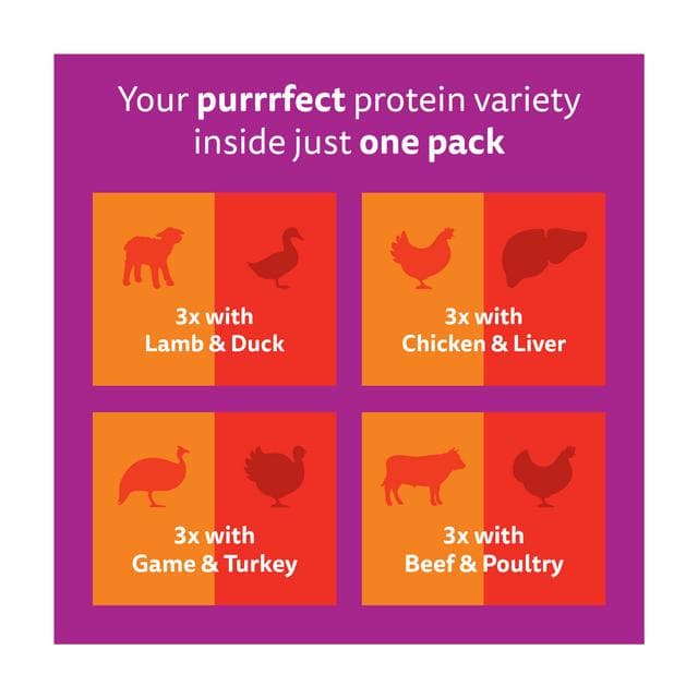 Whiskas 1+ Duo Meaty Combos in Jelly Adult Wet Cat Food Pouches 12 x 85g - gallery image 5