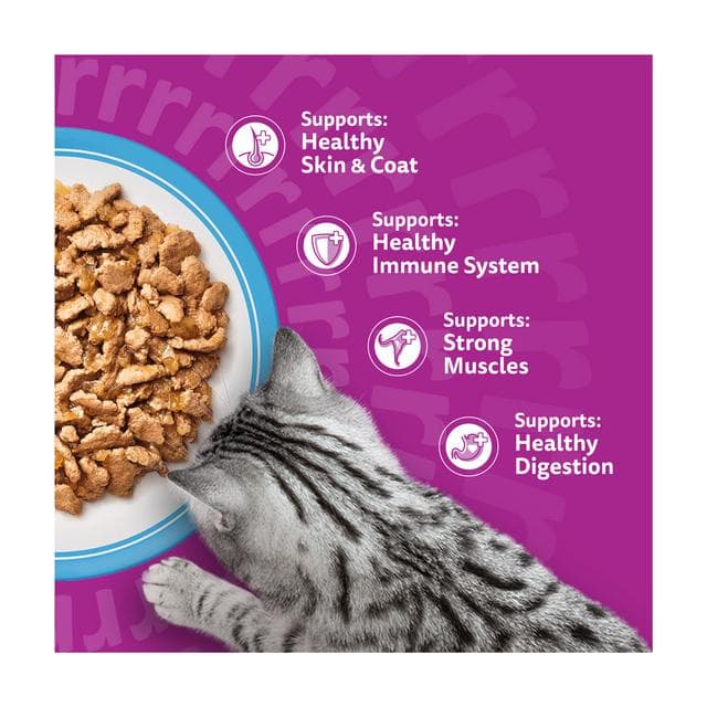 Whiskas 1+ Fish Favourites in Jelly Adult Wet Cat Food Pouches 40 x 85g - gallery image 3