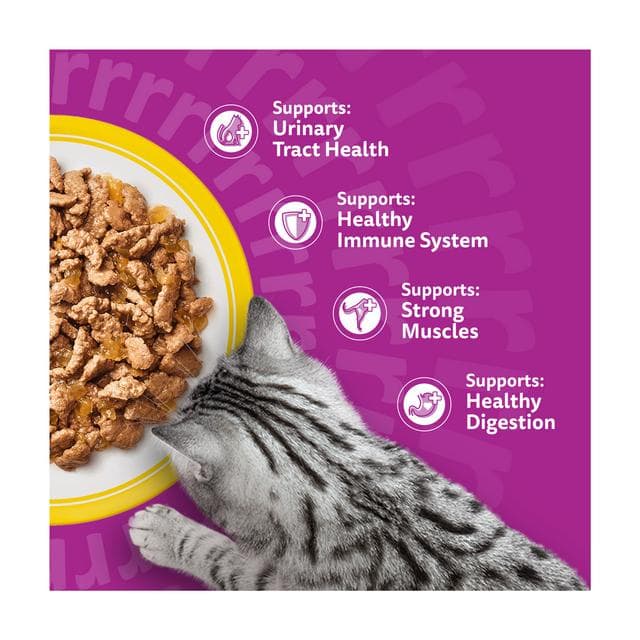 Whiskas 7+ Poultry Feasts in Jelly Senior Wet Cat Food Pouches 40 x 85g - gallery image 3