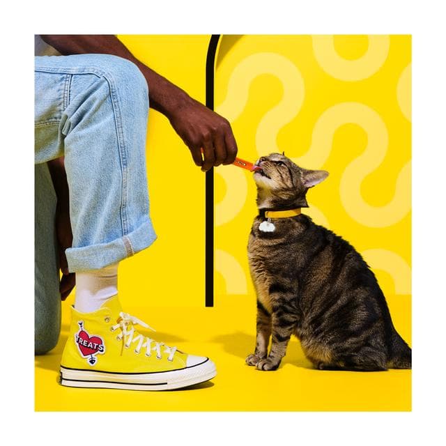Dreamies Creamy 4 x 10g Cat & Kitten Treat with Scrumptious Salmon Flavour - gallery image 4