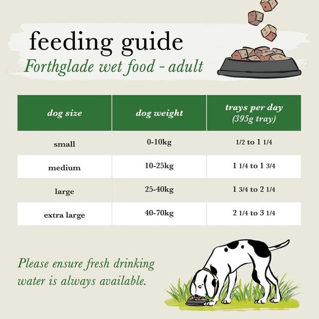 Forthglade Variety Pack Complete Meal Adult Dog Food 1 Year+ 6x395g - gallery image 5