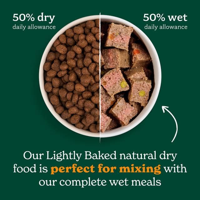 Forthglade Lightly Baked Natural Dry Dog Food Turkey Adult Dogs One Year+ 2kg - gallery image 5