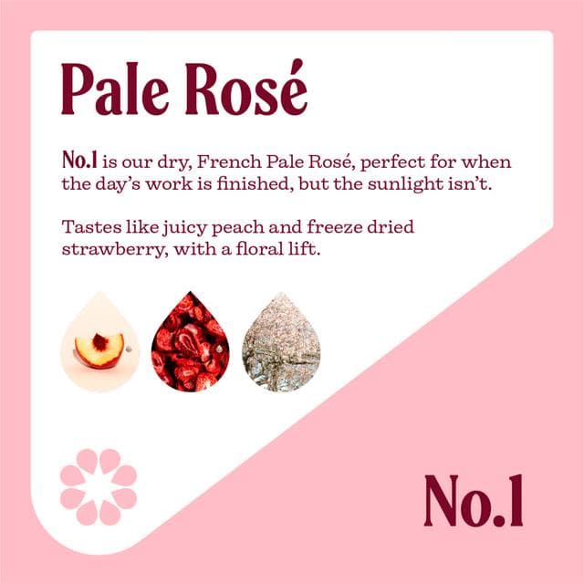 Nice Pale Rosé Wine 18.7cl - gallery image 2