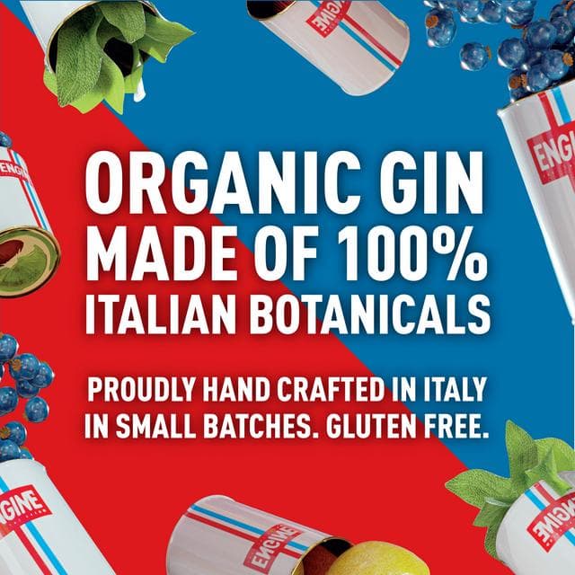 Engine Italian Organic Gin 70cl - gallery image 2