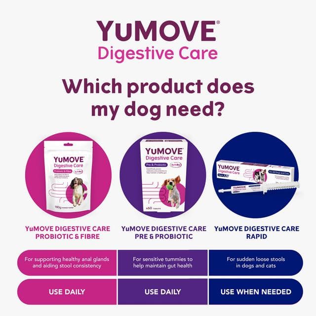 Yumove Digestive Care For All Dogs Tablets x60 49g - gallery image 6
