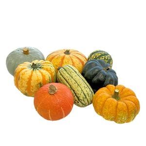 Sainsbury's Single Mixed Squash