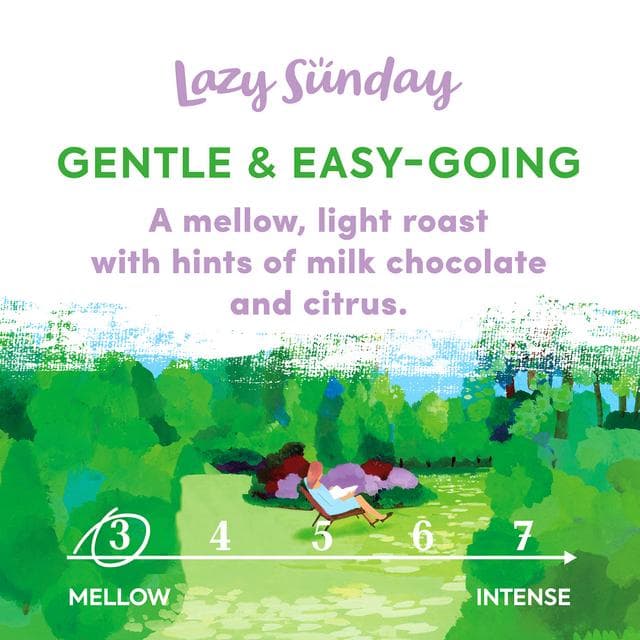 Taylors of Harrogate Lazy Sunday Beans Roast Coffee 200g - gallery image 2