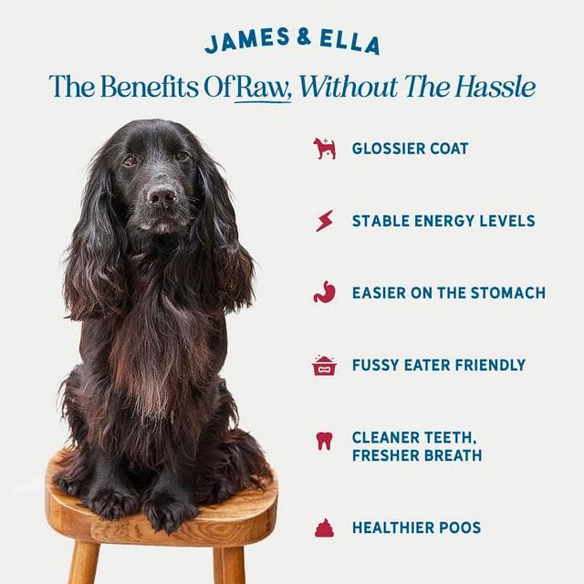James & Ella Kibble + Raw Grass Fed Beef Dog Food 1.5kg - gallery image 2