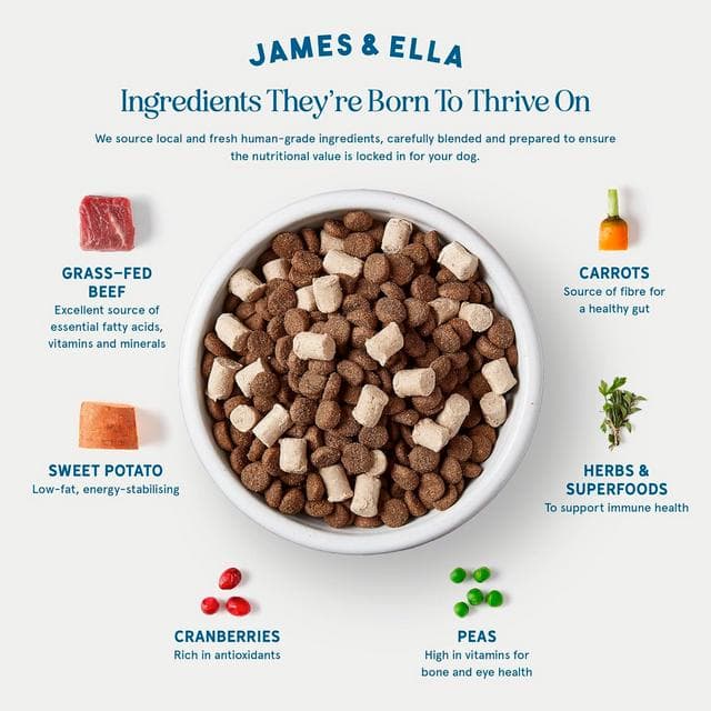 James & Ella Kibble + Raw Grass Fed Beef Dog Food 1.5kg - gallery image 3