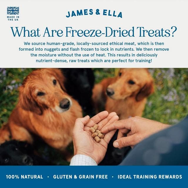 James & Ella Freeze Dried Grass Fed Beef Dog Treats 40g - gallery image 4