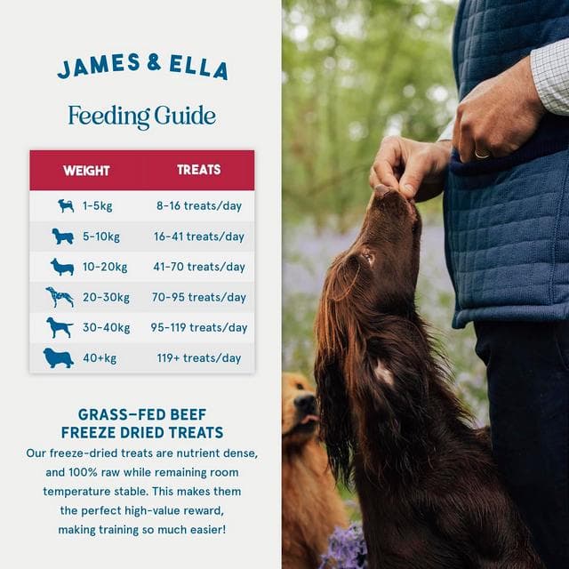 James & Ella Freeze Dried Grass Fed Beef Dog Treats 40g - gallery image 5