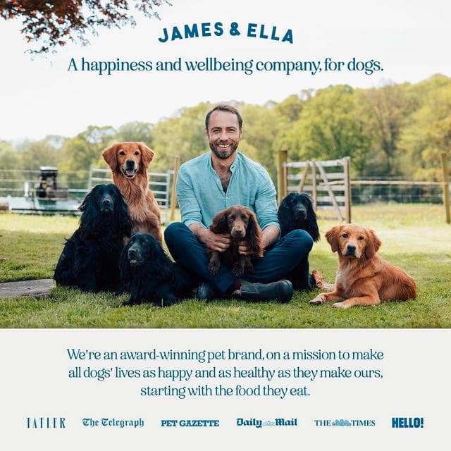 James & Ella Freeze Dried Grass Fed Beef Dog Treats 40g - gallery image 6