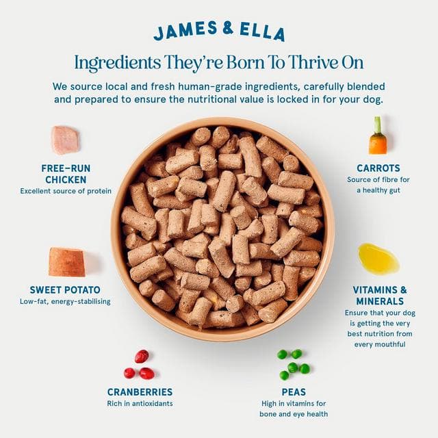 James & Ella Freeze Dried Raw Free Run Chicken Dog Food 500g - gallery image 3