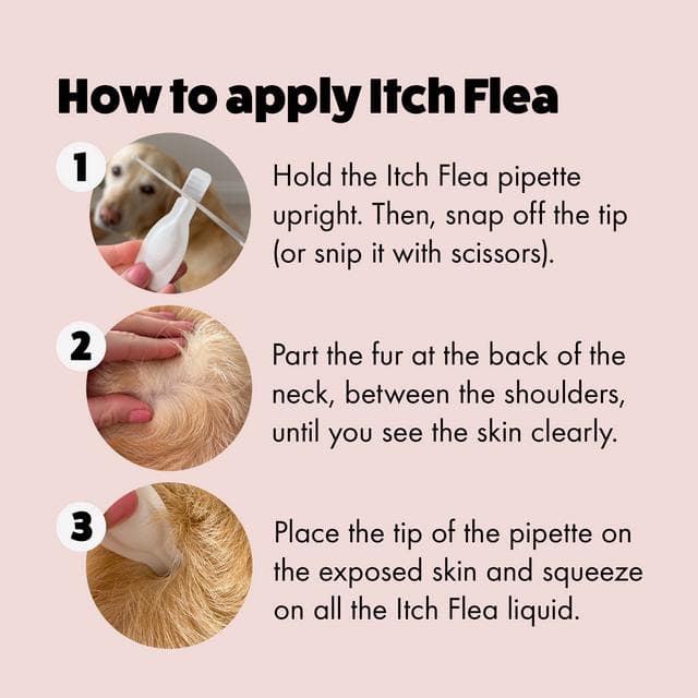 Itch Flea Large Dog Flea & Tick Spot On Treatment 1 Pipette (20-40kg) - gallery image 3