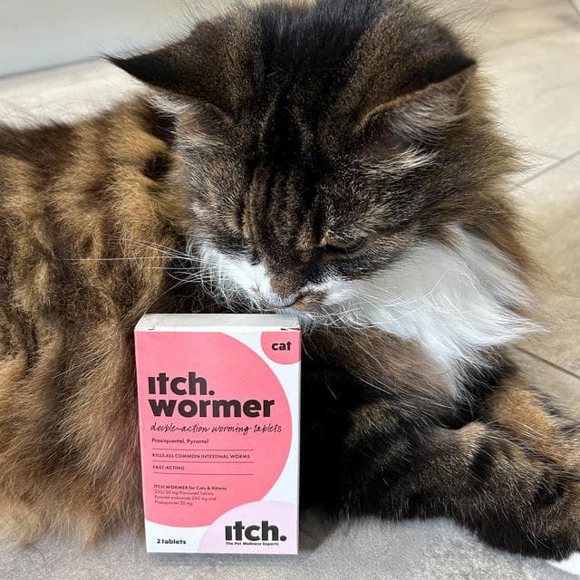 Itch Wormer Cat Worm Tablet Treatment Pack x2 - gallery image 4