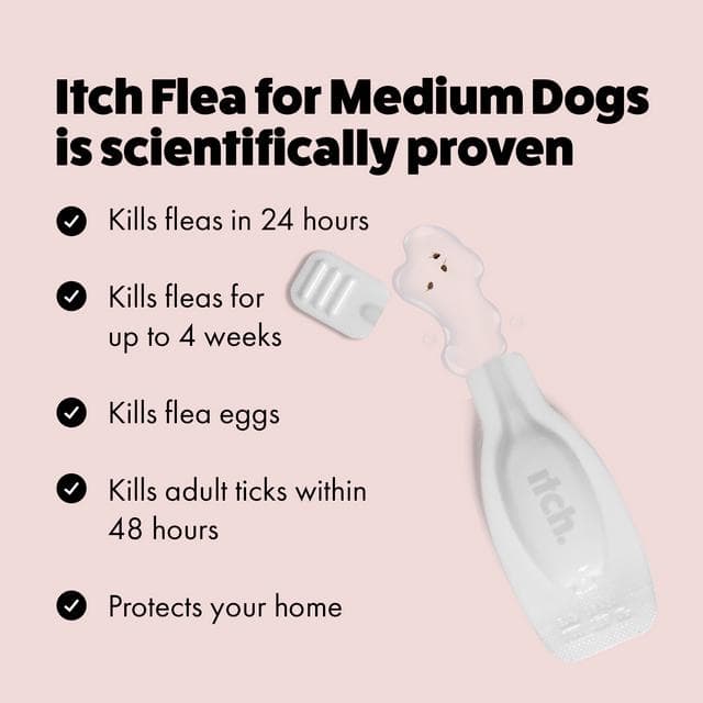 Itch Flea Medium Dog Flea & Tick Spot On Treatment 1 Pipette (10-20kg) - gallery image 4