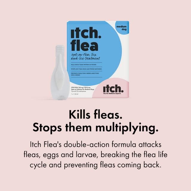 Itch Flea Medium Dog Flea & Tick Spot On Treatment 1 Pipette (10-20kg) - gallery image 6