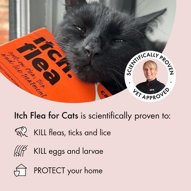 Itch Flea Cats Flea & Tick Spot On Treatment 1 Pipette (1kg+) - gallery image 2