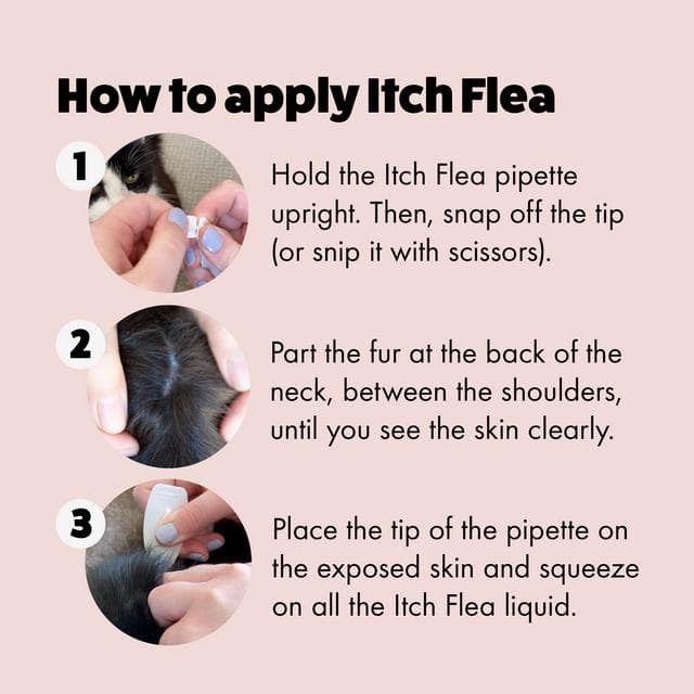Itch Flea Cats Flea & Tick Spot On Treatment 1 Pipette (1kg+) - gallery image 3