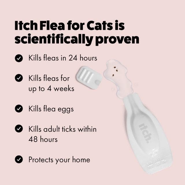 Itch Flea Cats Flea & Tick Spot On Treatment 1 Pipette (1kg+) - gallery image 4
