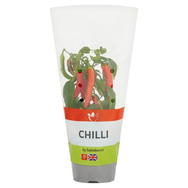 Sainsbury's Chilli - gallery image 1