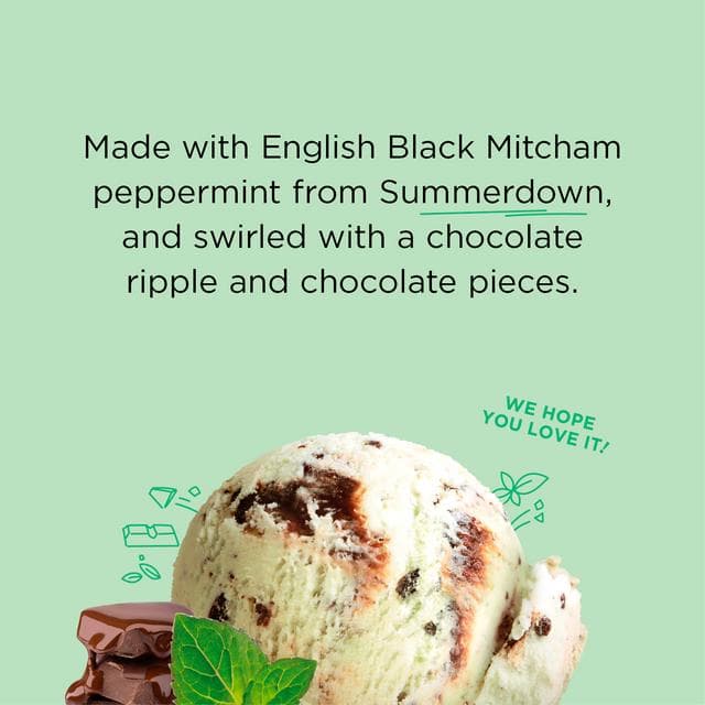 Jude's Mint Chocolate Ice Cream 460ml - gallery image 4
