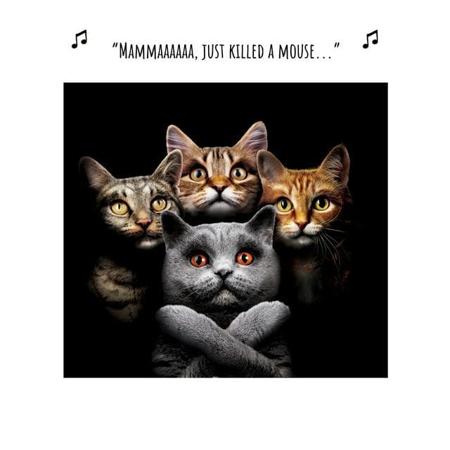 Emotional Rescue Birthday Humour 4 Cats Singing Mammaaaaaa Photography Design Open Greeting Card - gallery image 1