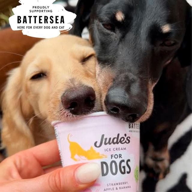 Jude's Ice Cream for Dogs Strawberry, Apple & Banana 4x90ml - gallery image 3