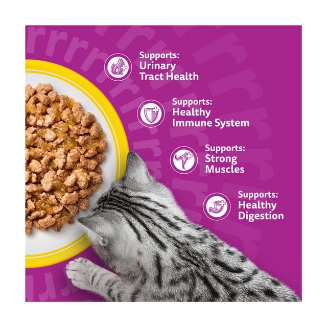 Whiskas 11+ Poultry Feasts Senior Wet Cat Food Pouches in Jelly 12 x 85g - gallery image 3