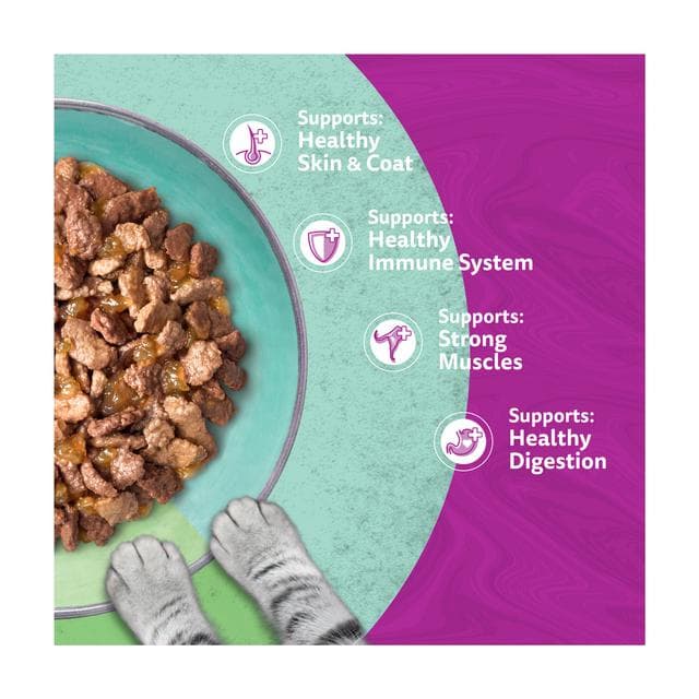 Whiskas 1+ Duo Mixed Medley Adult Wet Cat Food Pouches in Jelly 12 x 85g - gallery image 3