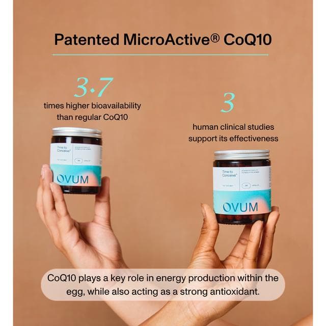 Ovum Time to Conceive Fertility Food Supplement Capsules x90 - gallery image 6