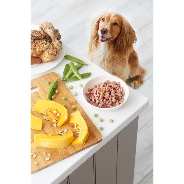 Freshpet Small Dogs Petit Chien Grilled Chicken & Turkey Recipe with Pumpkin & Peas 400g - gallery image 3