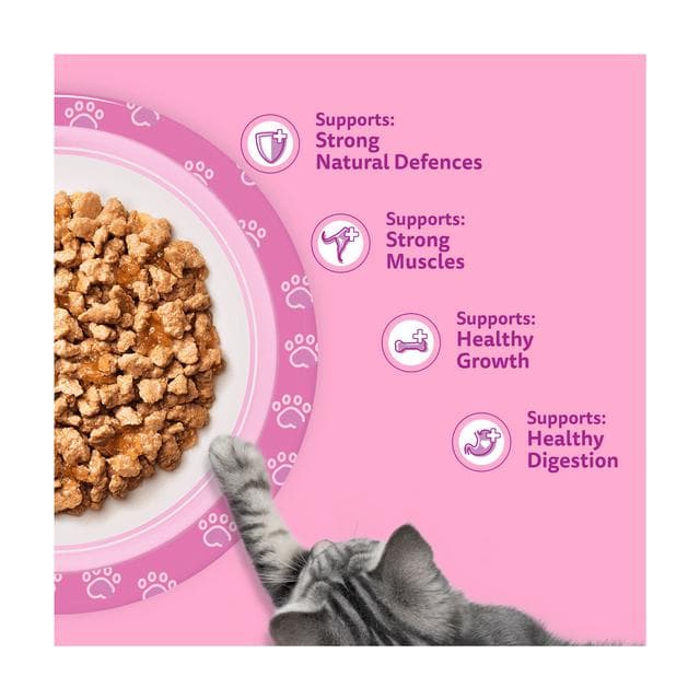 Whiskas Kitten Poultry Feasts Wet Cat Food Pouches in Jelly 40 x 85g - gallery image 3