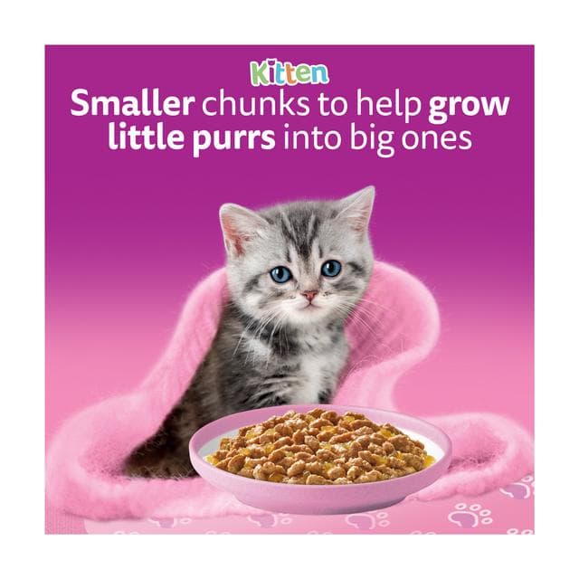 Whiskas Kitten Poultry Feasts Wet Cat Food Pouches in Jelly 40 x 85g - gallery image 5