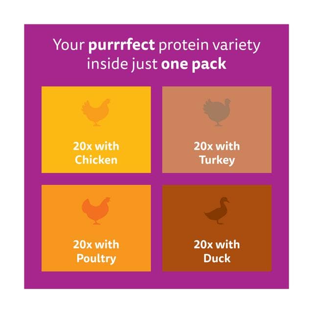 Whiskas 1+ Poultry Feast in Jelly Wet Cat Food 80 x 85g - gallery image 5