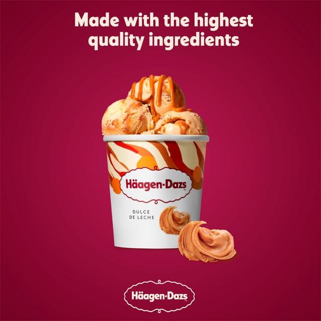 Haagen-Dazs Dulce De Leche Ice Cream 460ml - gallery image 2