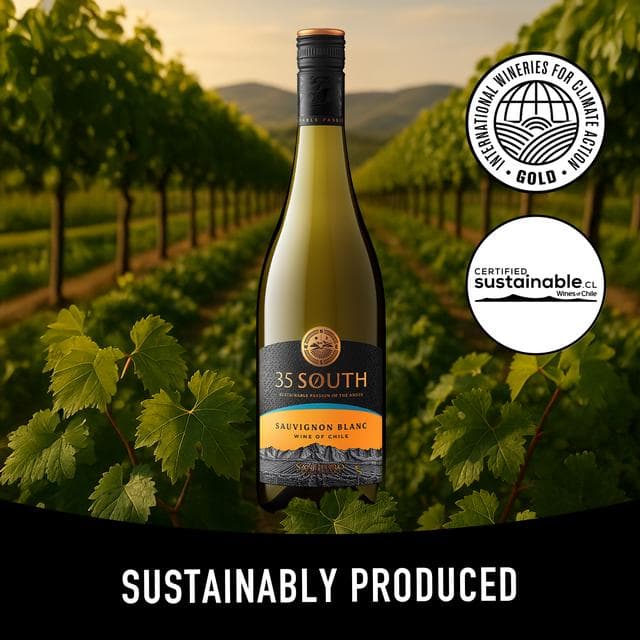 San Pedro 35 South Sauvignon Blanc White Wine 75cl - gallery image 3