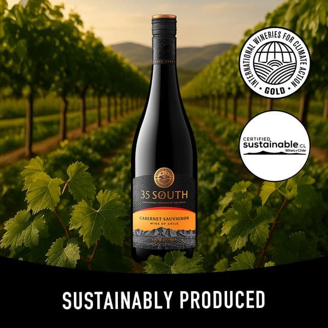 San Pedro 35 South Cabernet Sauvignon Red Wine 75cl - gallery image 3