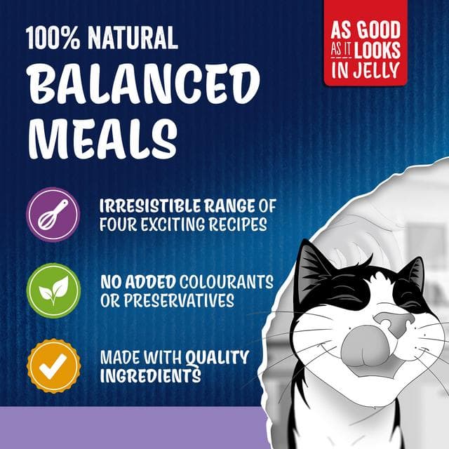 Felix As Good As it Looks Favourites Selection Wet Cat Food 40 x 85g - gallery image 3