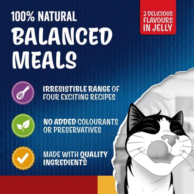 Felix Doubly Delicious Countryside Selection Wet Cat Food 40 x 85g - gallery image 3