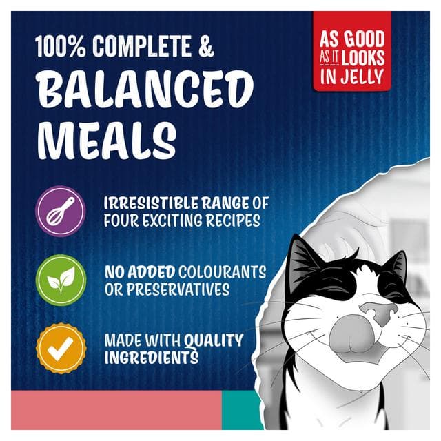 Felix Doubly Delicious Ocean Recipes in Jelly Wet Cat Food 12 x 85g - gallery image 3