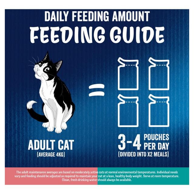 Felix Doubly Delicious Ocean Recipes in Jelly Wet Cat Food 12 x 85g - gallery image 6