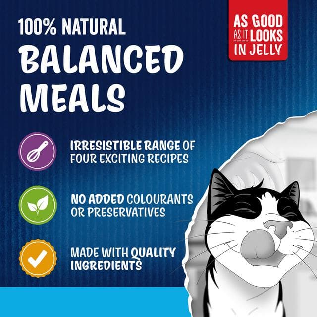 Felix As Good As it Looks Senior 7+ Fish in Jelly Wet Cat Food 12 x 85g - gallery image 3