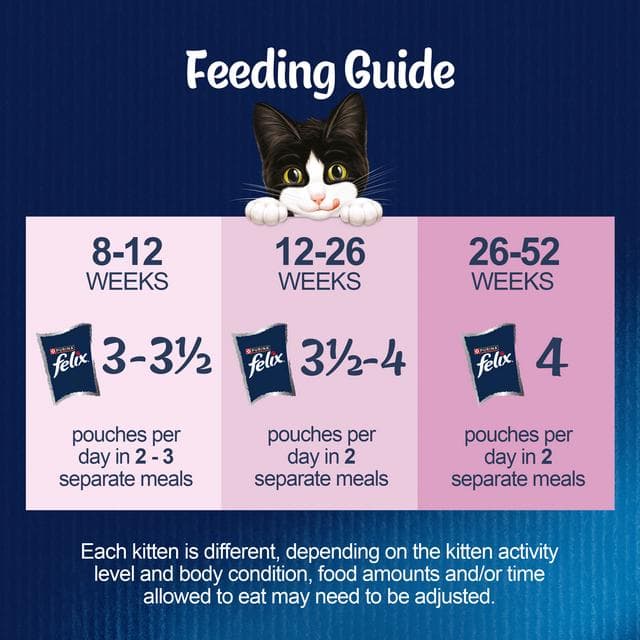 Felix As Good As it Looks Kitten Fish in Jelly Wet Cat Food 12 x 85g - gallery image 3