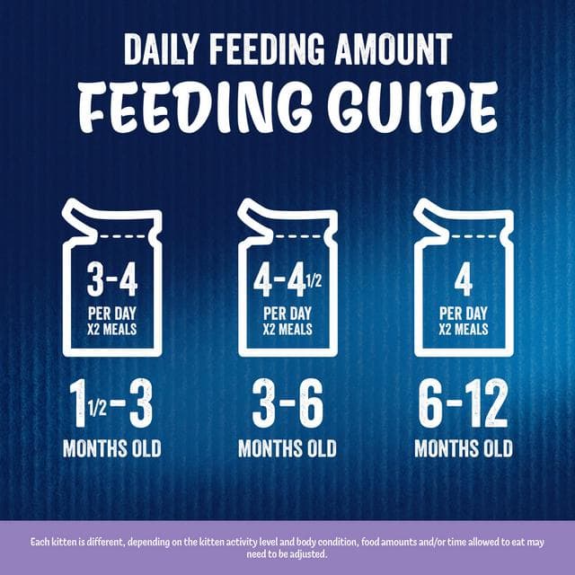 Felix Wet Kitten Food As Good As It Looks Mixed Selection in Jelly 2-12 Months 12 x 85g - gallery image 6