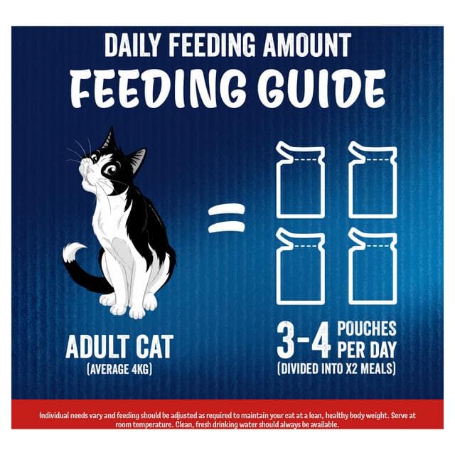 Felix As Good As it Looks Meaty Selection in Jelly Wet Cat Food 12 x 85g - gallery image 6
