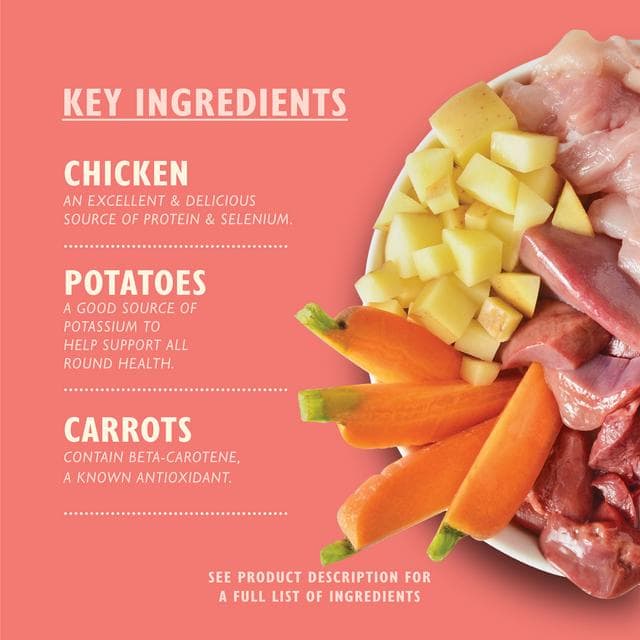 Lily's Kitchen Puppy Recipe with Chicken Wet Dog Food 150g - gallery image 2