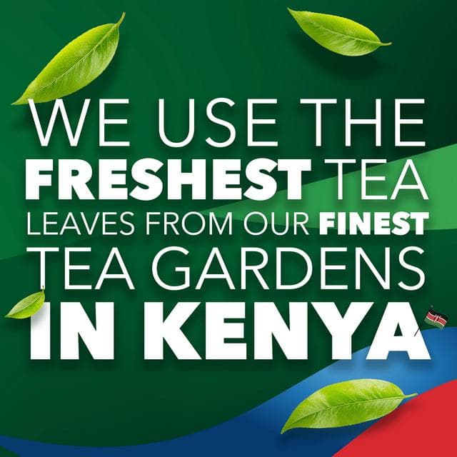 PG Tips Original Tea Bags x240 696g - gallery image 5